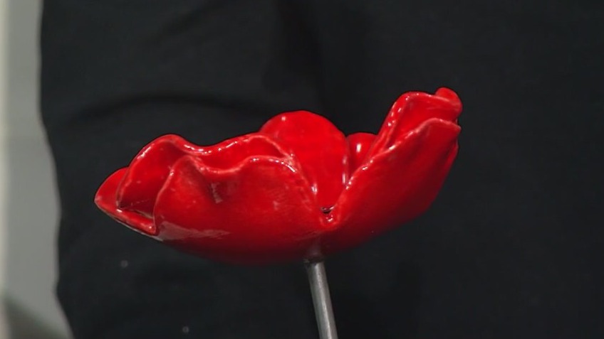 Chicago-area students craft metal poppies to fund dental care for veterans