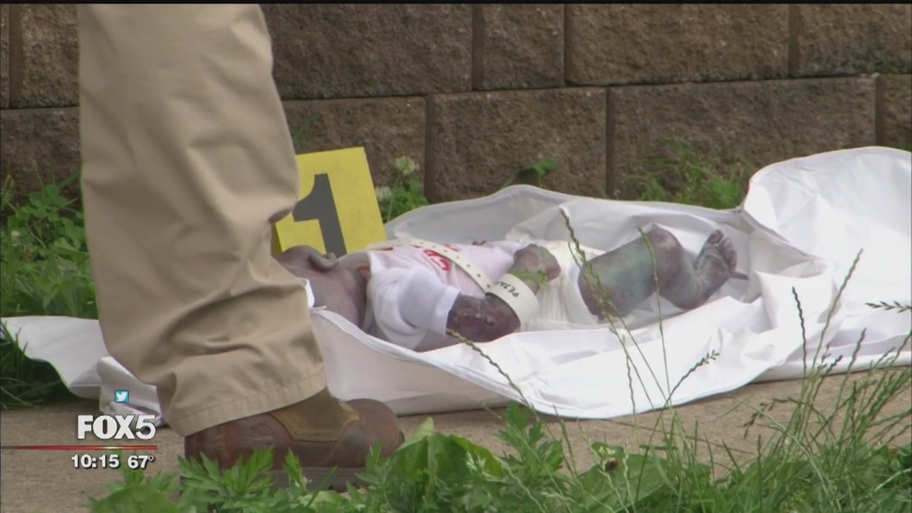 'Dead infant' turns out to be realistic doll
