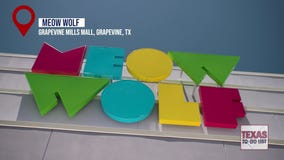 Texas To-Do List: Meow Wolf