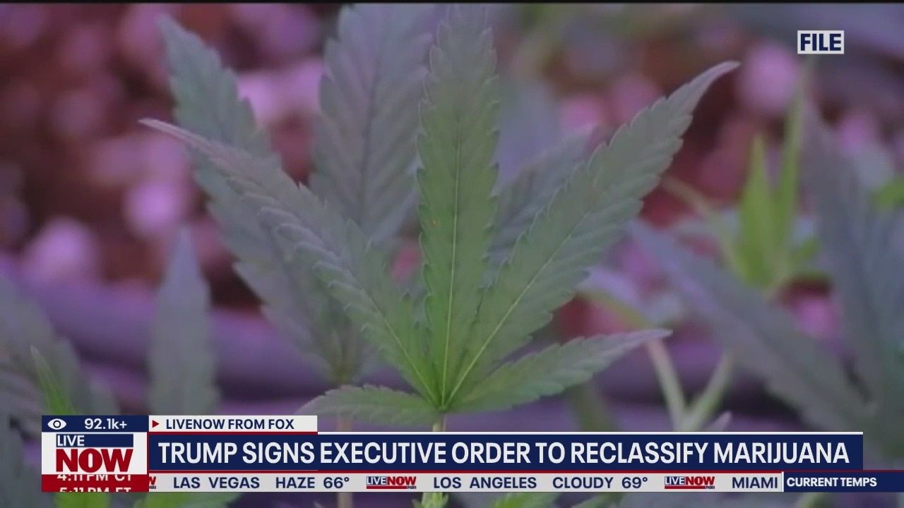 Marijuana reclassified as schedule III drug