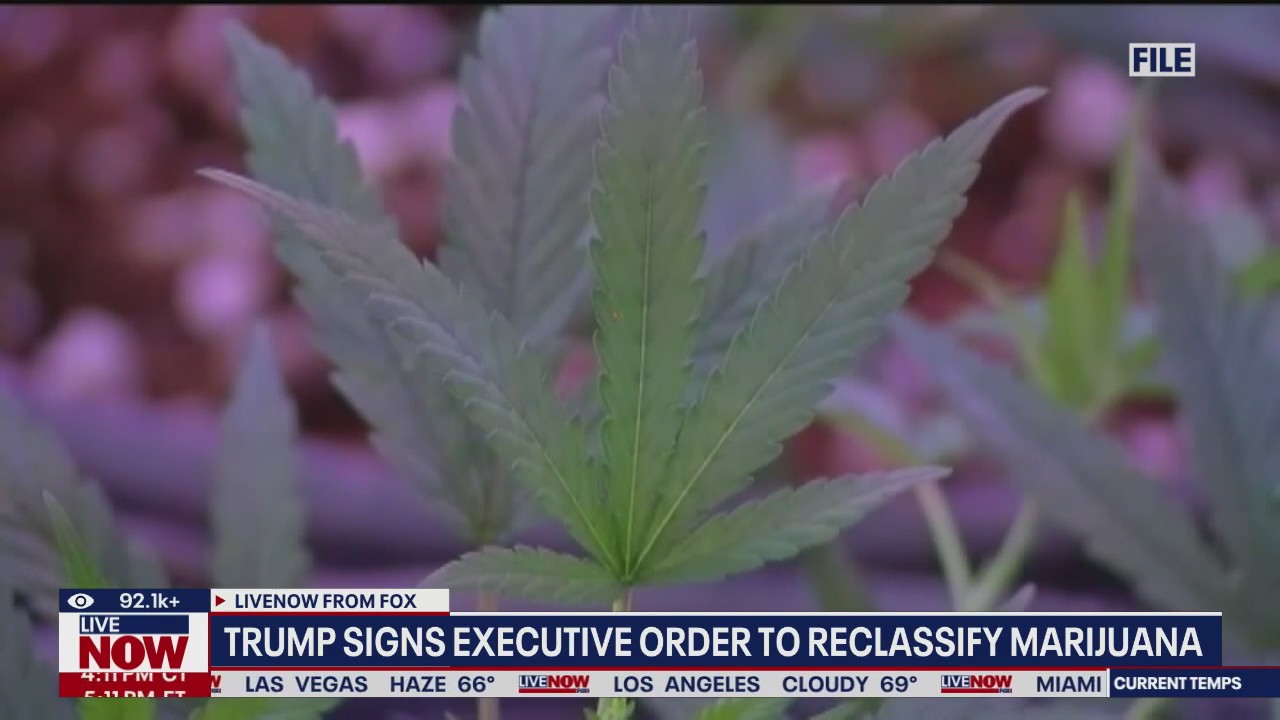 Marijuana reclassified as schedule III drug