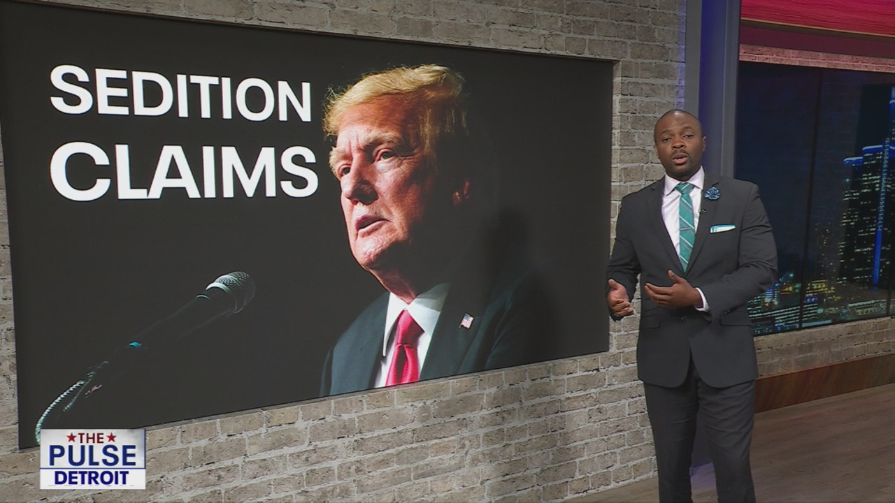 Constitutional law professor on Trump's sedition claims & AI making work optional?