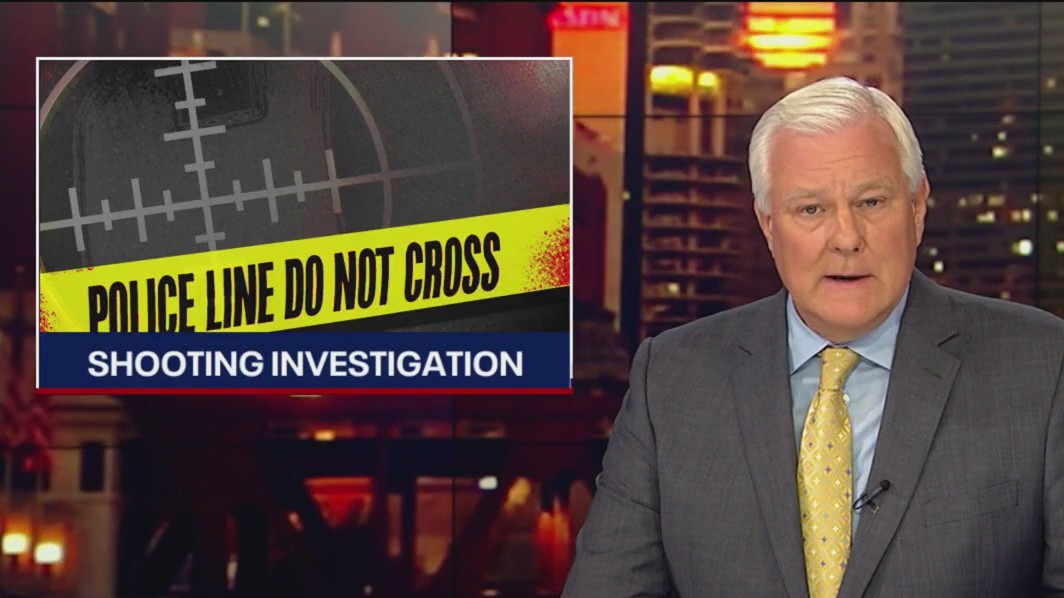 Pair of 16-year-old boys killed in Palatine shooting identified