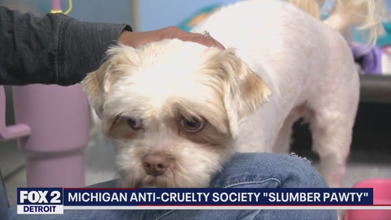 National Slumber Pawty raises money, awareness for shelter animals