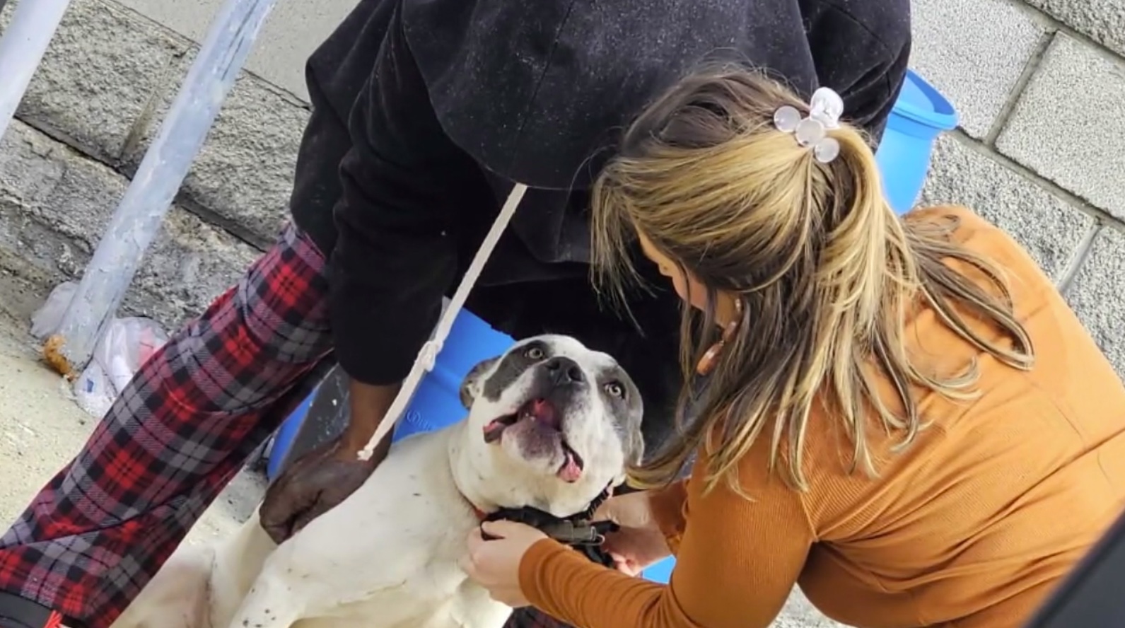 The Rundown: This week's top stories at FOX 2