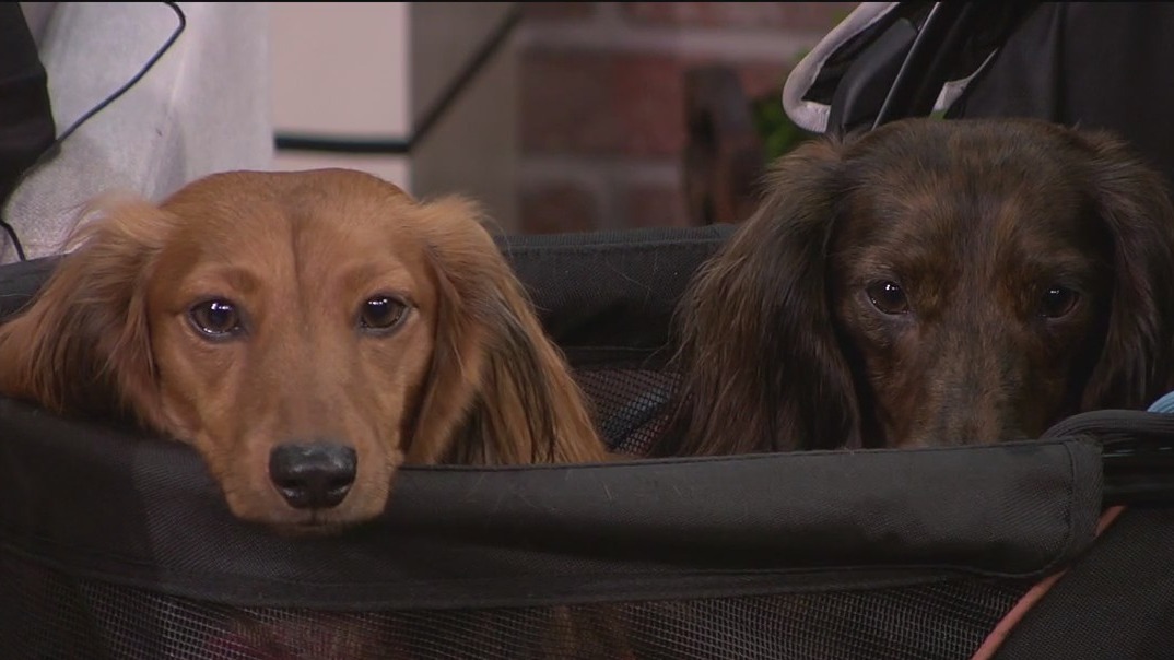 Doxapalooza 2025 at Keel Farms