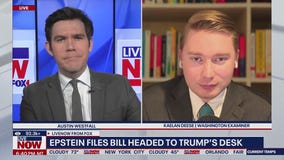 Potential redactions considered for Epstein files