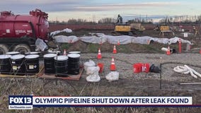 Sea-Tac operations remain smooth as crews work to fix Olympic Pipeline jet fuel leak