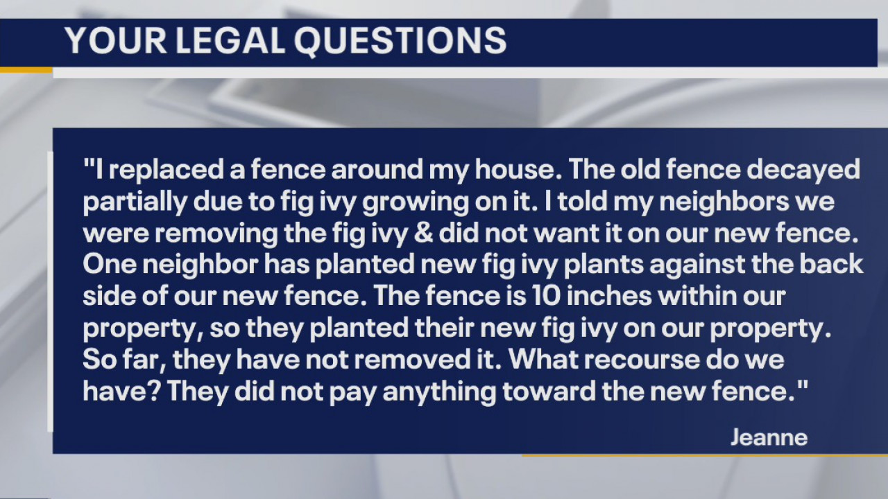 Your Legal Questions: Fence; rent fee; tree fell on car