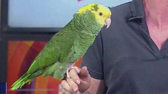 Six Flags Discovery Kingdom prepares for Fall events