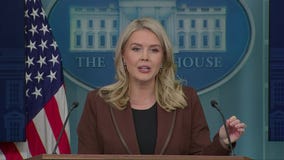 White House on new Epstein emails