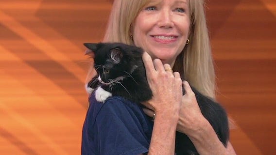 Meet Nacho Fries: Our Pet of the Day