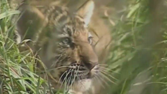 Scientists want to create ?Noah?s Ark? on the moon