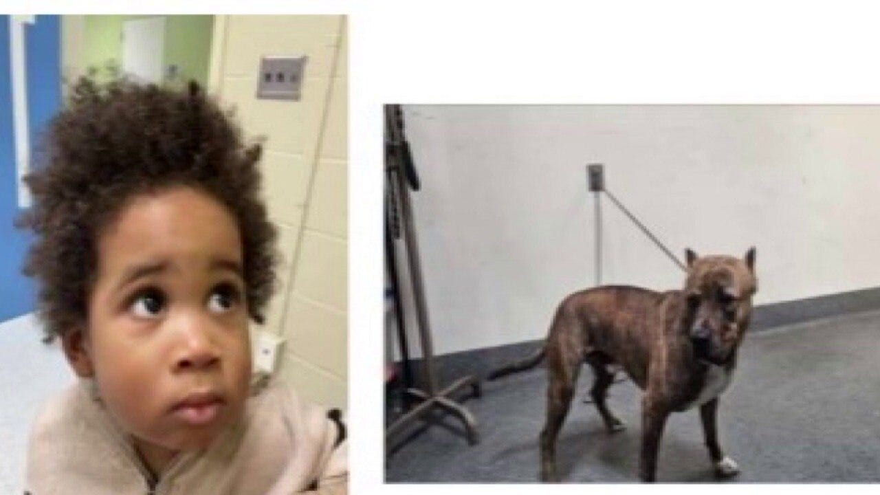 Toddler found alone in car after failed car theft 