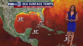 Tropical Weather Forecast - November 28, 2023