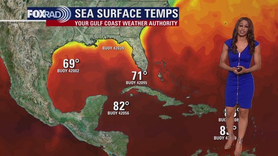 Tropical Weather Forecast - November 28, 2023