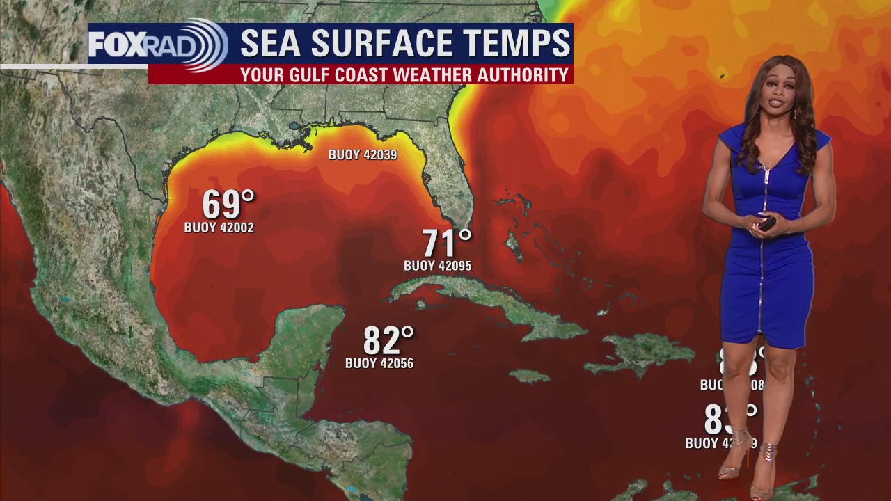 Tropical Weather Forecast - November 28, 2023