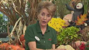 Pike Nurseries and decorating doors