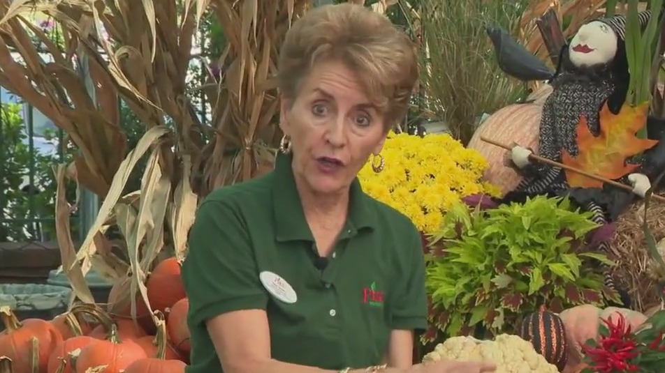 Pike Nurseries and decorating doors