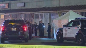 Woman killed in South LA shooting