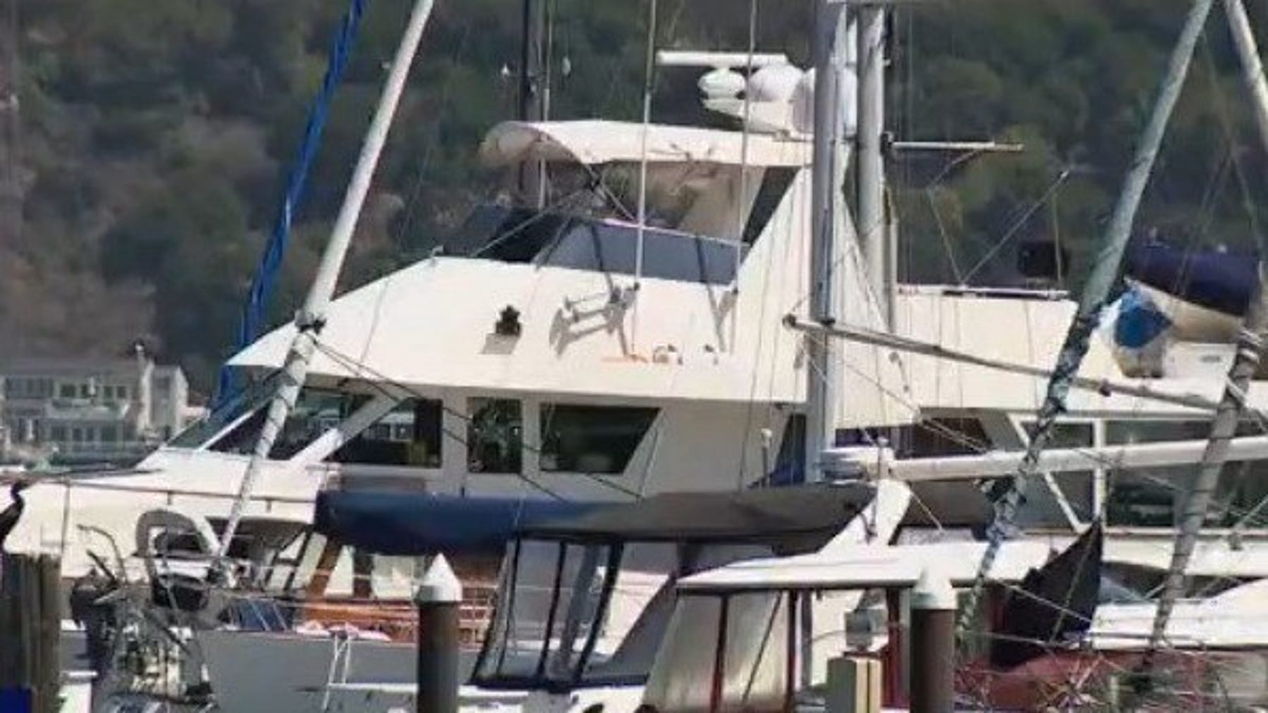 Zip Trips: Sausalito Boat Show and Trivia