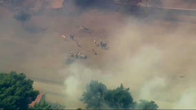 Animals stranded in Fontana wildfire
