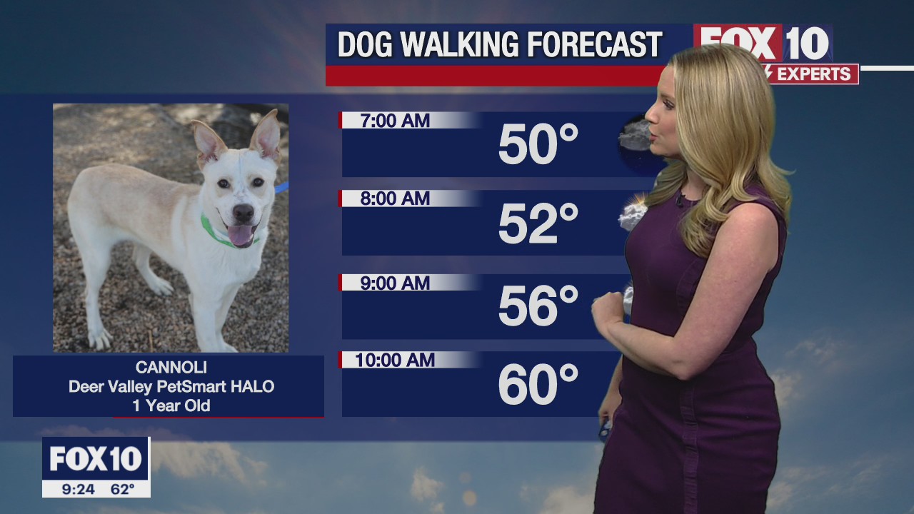 Evening Weather Forecast - 2/18/23