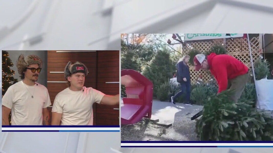 Christmas tree care tips from a pro