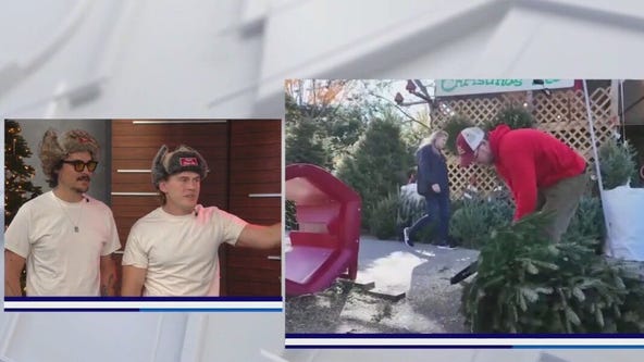 Christmas tree care tips from a pro