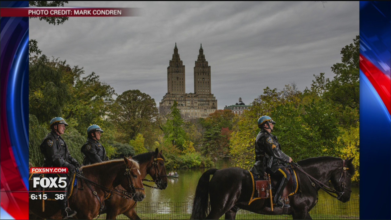 New book presents the NYPD in photos