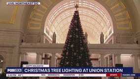 Christmas tree lighting held at Union Station
