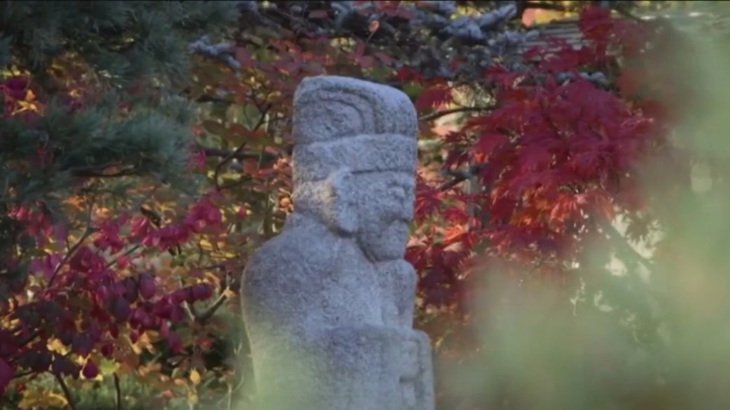 Amazing fall getaways all within the confines of Illinois