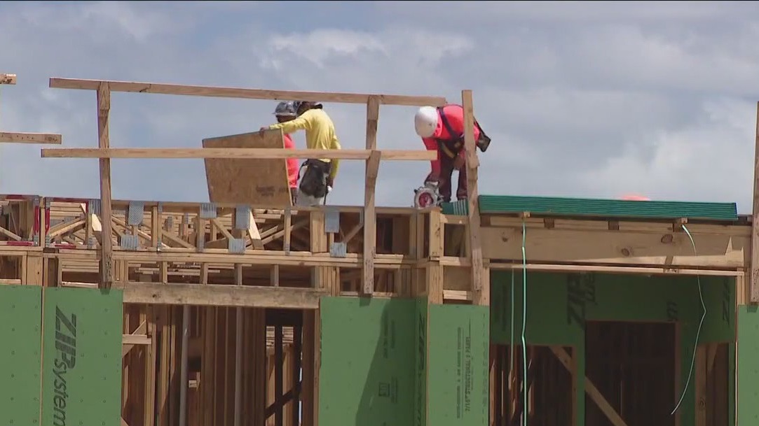 Environmental watchdogs sound alarm over housing project