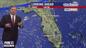 Tampa Weather | Cooler with low humidity