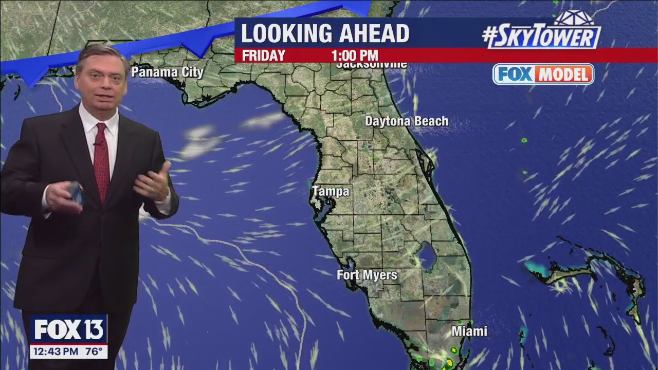 Tampa Weather | Cooler with low humidity