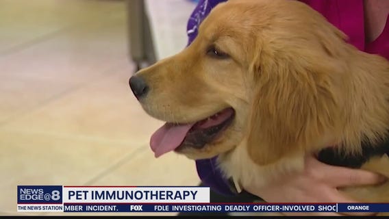 Pet immunotherapy
