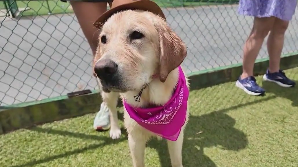 Future service dog Mae celebrates birthday