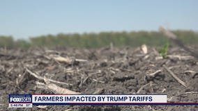 Fertilizer prices impacted by Trump tariffs