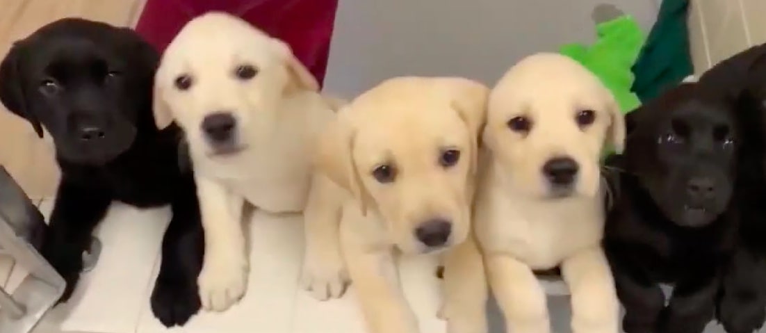 In Depth: Thanksgiving Special