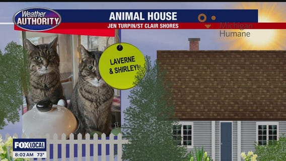 Welcome Laverne Shirley Liza Russell