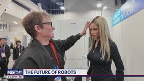The future of human-robot relationships