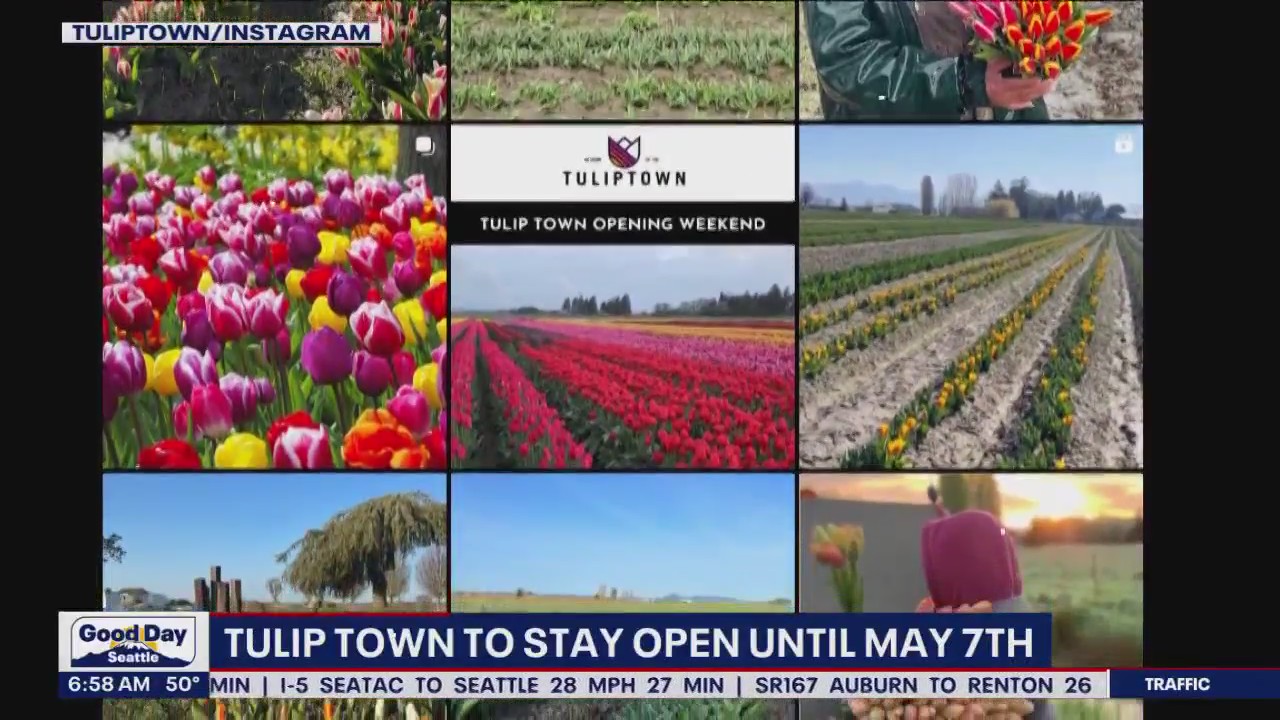 Tulip Town to stay open until May 7