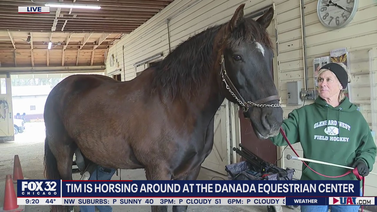 Danada Equestrian Center highlights the majesty and gentleness of horses