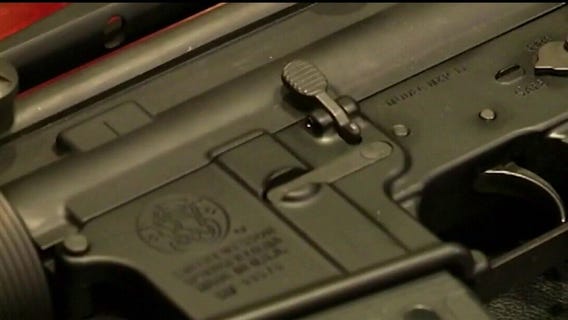 Republicans push to repeal Michigan red flag gun laws