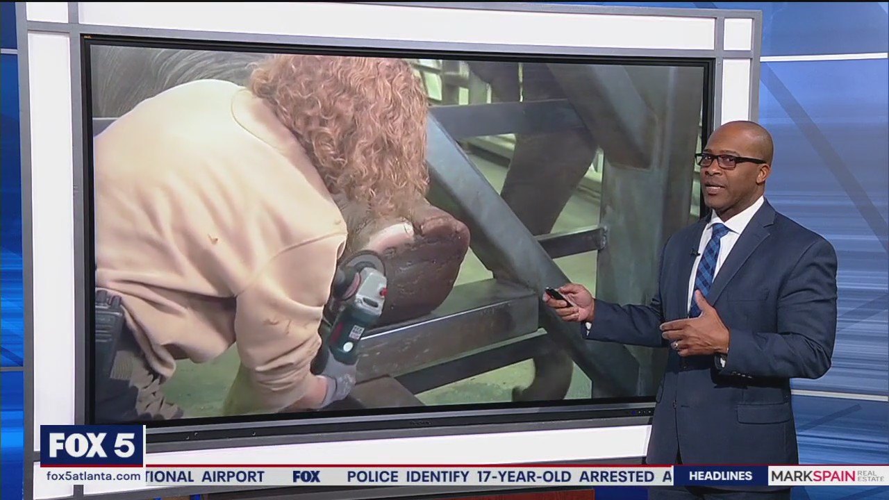 Elephants receive heavy-duty pedicure