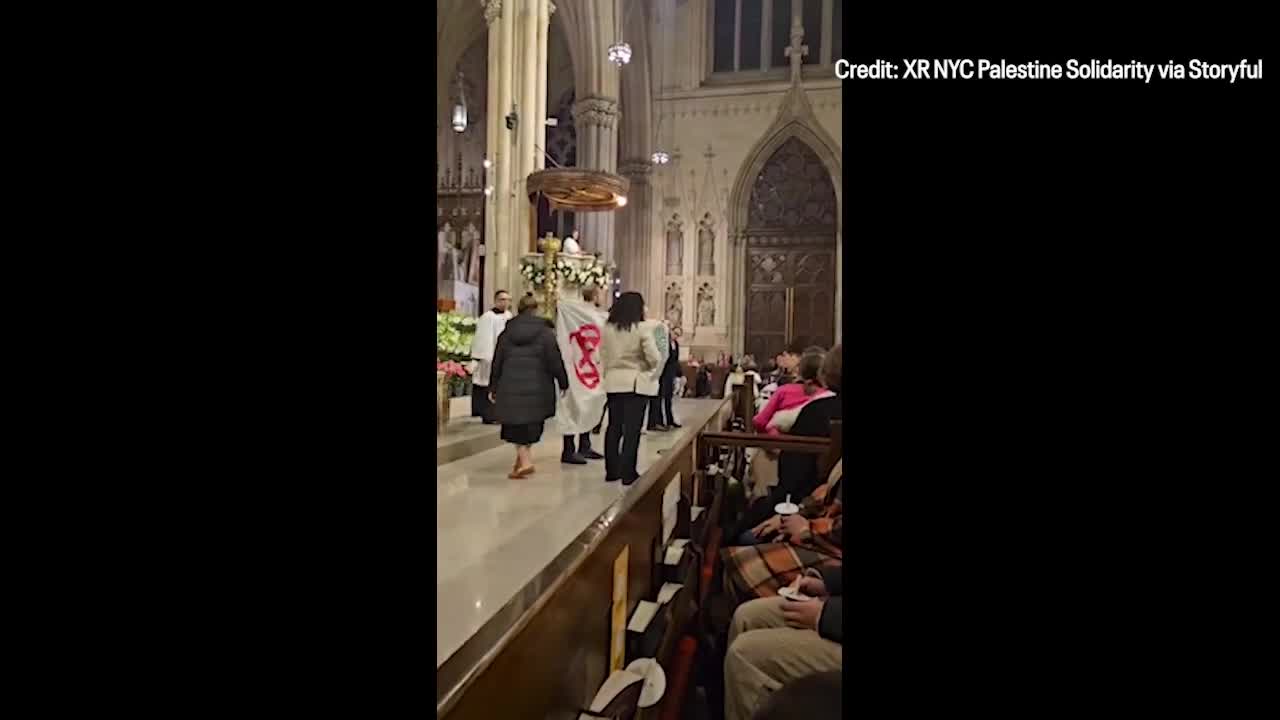 Pro-Palestine protest halts mass at St. Patrick?s Cathedral