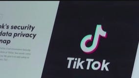 Supreme Court to hear arguments about potential TikTok ban
