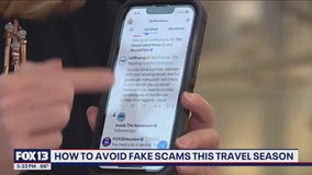 Avoiding fake scams this travel season
