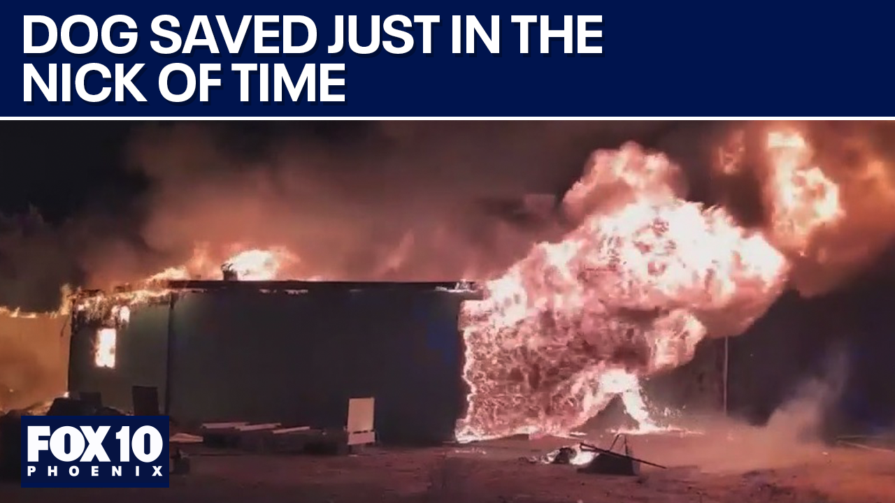 Dog rescued from Yavapai County house fire