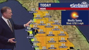 Tampa weather | Friday forecast